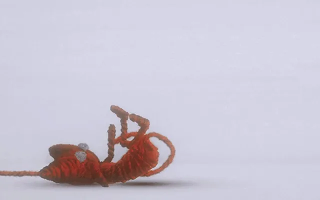 Unravel Two